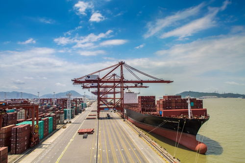 海关总署 2019年货物贸易进出口总值31.54万亿