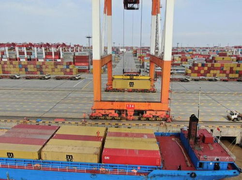 出口企业遭遇不合理贸易壁垒 请告诉海关,为稳外贸,上海准备了29条